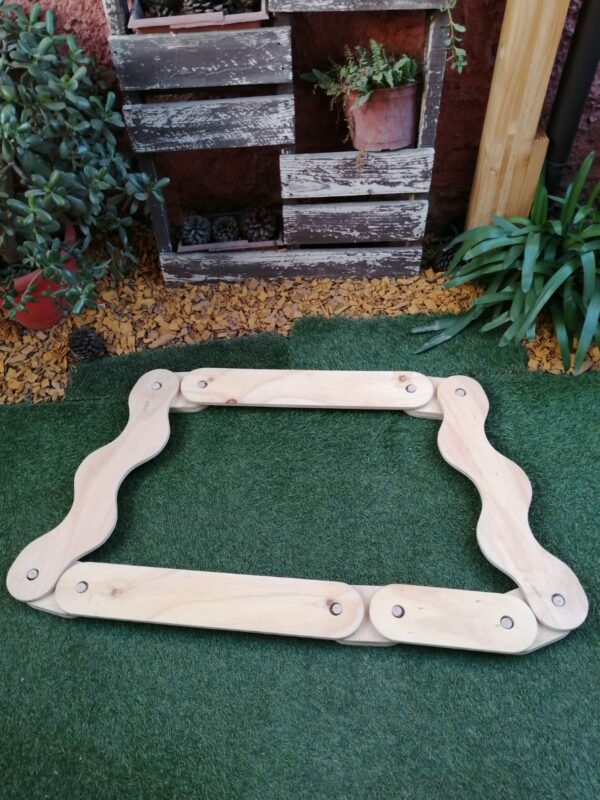 Circuito motriz - Imagen 5